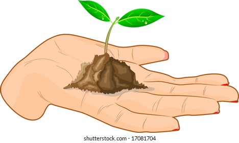 Young sprout in a hand. Vector illustration.