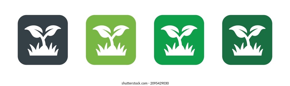 Young sprout icon. Plant with grass icon vector illustration.