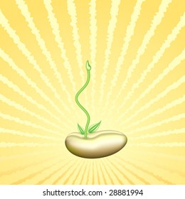 Young sprout on a solar background