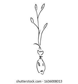 Young sprout for planting, seedling. Vector illustration of planting plants in spring. Hand drawn young tree for planting, seedling.