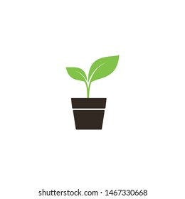 Young sprout in a pot simple vector icon. Green plant with leaves in a pot symbol.