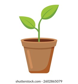 Young Sprout in a Small Pot Isolated on White