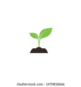Young sprout in soil colorful vector icon. Green young plant in soil simple symbol.