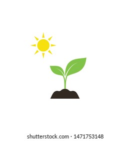 Young sprout in soil with sun colorful vector icon. New green plant in soil under the sun.