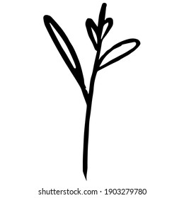 Young Sprout Tree Vector Line Art. Closeup of young sprout tree vector. Graphic design element