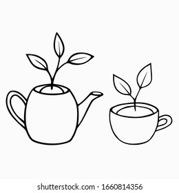 Young sprouts with  leaves in a tea cup and a teapot set. The concept of the  spring, the birth of a new life. Hand drawn plant doodle line art. Stock vector illustration isolated on white background.
