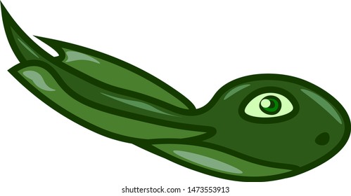 A young tadpole in green color, vector, color drawing or illustration.