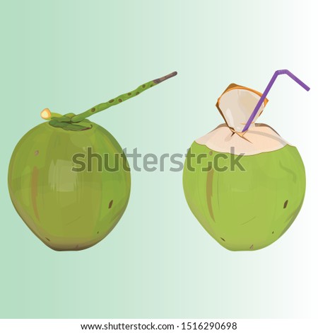 young tender coconut digital  illustration