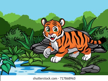 young tiger in the jungle