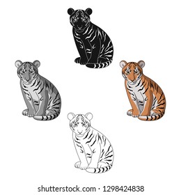 Young tiger.Animals single icon in cartoon style vector symbol stock illustration web.