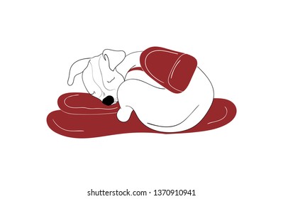 Young travelling puppy sleeping with backpack