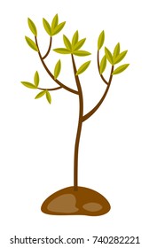 Árbol joven creciendo en el suelo. Ilustración de dibujos animados de vectores aislados en fondo blanco.
