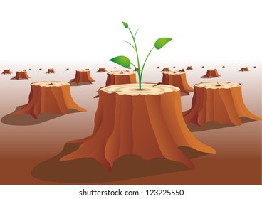young tree grows on a tree stump