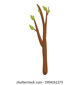 Junge Baumsymbol. Cartoon für junge Baum, Vektorsymbol für Webdesign einzeln auf weißem Hintergrund