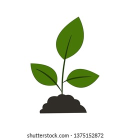 Young tree illustration isolated on white background for web and mobile.Vector-Illustration