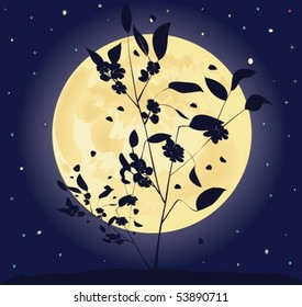 Young tree with leaves and colors against the full moon