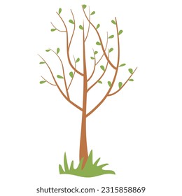 Young tree with leaves. Tree seedling for planting in spring in the garden. Planting of greenery concept. Vector illustration for environmental protection, volunteering