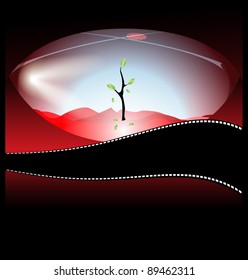 young tree in red desert eco background