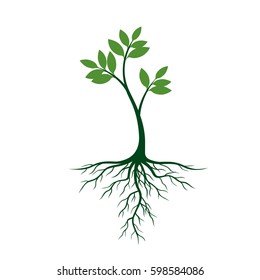Young tree with roots and green leafs. Vector Illustration.