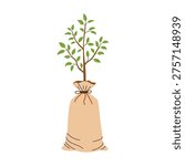 Young tree with roots wrapped in sack. Plant ready for planting in garden. Flat vector illustration isolated on white background.