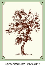 Young tree silhouette