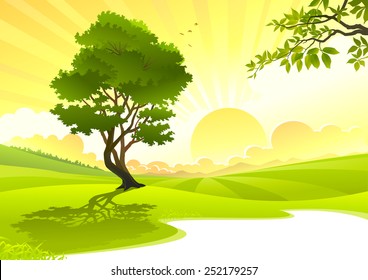 Young Tree in sunrise