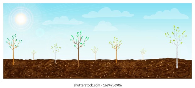 young trees growing in brown fertile soil background. Springtime horizontal landscape with small saplings plantation. arbor day banner. reforestation concept. tree nursery vector illustration