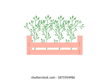 Young trees lie in a drawer, a vector chart