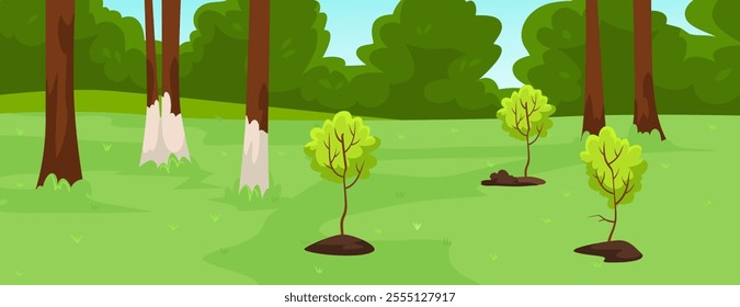 Young trees planted in forest with green grassland. Vector illustration