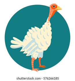 Young turkey funny vector illustration cartoon style
