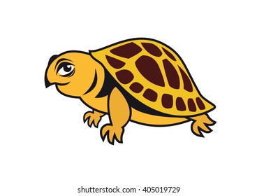 Young turtle vector. Cartoon character turtle. Illustration of a beautiful turtle. Vector turtle on a white background