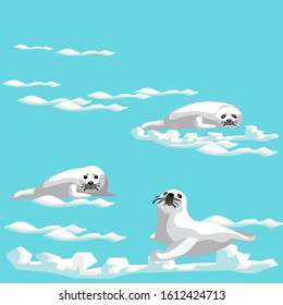 Young white seals on a blue background 3 positions with snow slides and snowdrifts. International Day of Action for the Seals