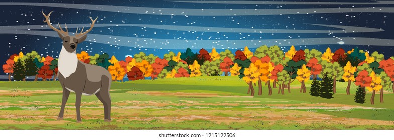 Young wild reindeer on a meadow in front of a forest. Autumnal deciduous forest on the horizon. Realistic Vector Landscape