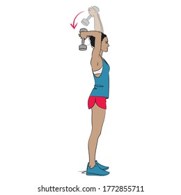 young woman arm exercise - overhead tricep extension with single dumbbell weight - colour vector series