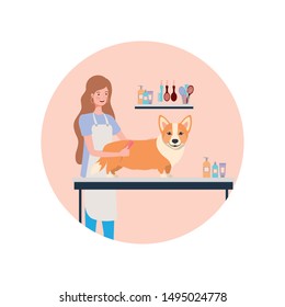 young woman with dog in pet groomer