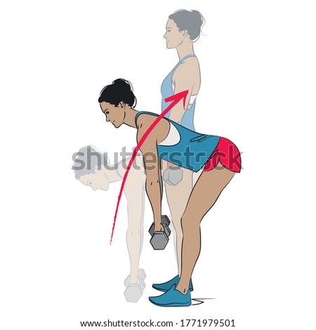 young woman doing back exercise - dumbbell deadlift - colour vector series