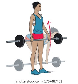 7,215 Deadlift Vector Images, Stock Photos & Vectors | Shutterstock