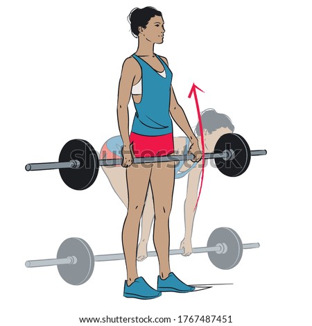 young woman doing exercise - barbell deadlift - vector series