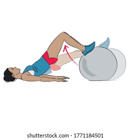 young woman doing exercise - swiss exercise ball hamstring curl - colour vector series