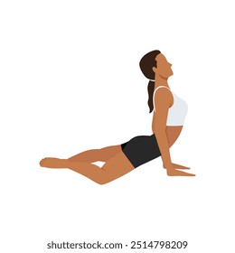 Jovem mulher fazendo Cobra Pose sapo ou exercício de ioga Bheka Bhujangasana. Ilustração de vetor plano isolada no plano de fundo branco