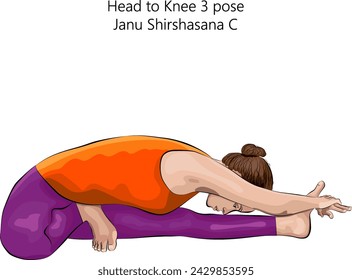 Young woman doing yoga Janu Shirshasana C. Head to Knee 3 pose. Intermediate Difficulty. Isolated vector illustration.