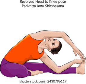 Young woman doing yoga Parivritta Janu Shirshasana. Revolved Head to Knee pose. Intermediate Difficulty. Isolated vector illustration.