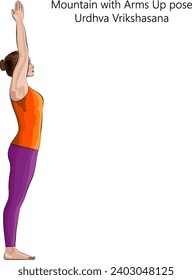 Young woman doing yoga Urdhva Vrikshasana. Mountain with Arms Up pose or Upward Tree pose. Beginner Difficulty. Isolated vector illustration.