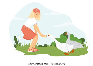 Young woman farmer feeds geese. The girl takes care of the poultry. A cute girl stands on a green lawn and holds out bread to a white goose. Vector illustration in flat style