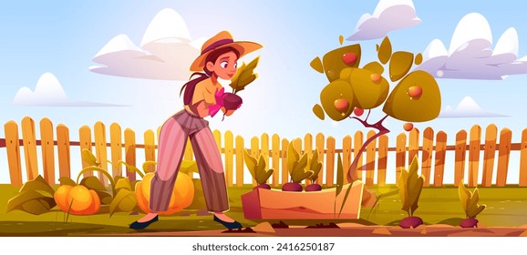 Young woman gardening on yard or field with fence. Cartoon lady gathering beetroots in crate, rape pumpkins and apple fruits on tree. Agriculture and farm concept with female farmer picking vegetables