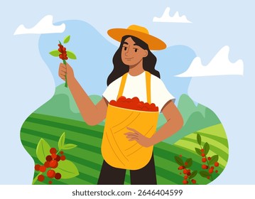 Young Woman Harvesting Coffee Picking in Basket on a plantation. Flat Vector Illustration.