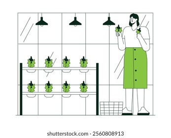 Young woman harvesting lettuce grown in greenhouse, urban farming vector illustration.