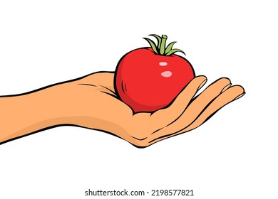 Young woman holding a tomato. Red tasty vegetable in hand. Healthy diet food. Natural ingredient for dishes and salad. Cartoon vector illustration isolated on white background. Hand drawn style