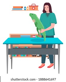 A young woman with iguana. Veterinary care flat illustration. Veterinarian wooman holding big lizard in hands in the medical office. Visit to the vet clinic to check the health of the animal reptile