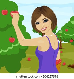 young woman picking red apples from tree in orchard